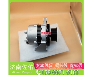 河南发电机 1001828445启动机3103950 XCMG XR120 WP10